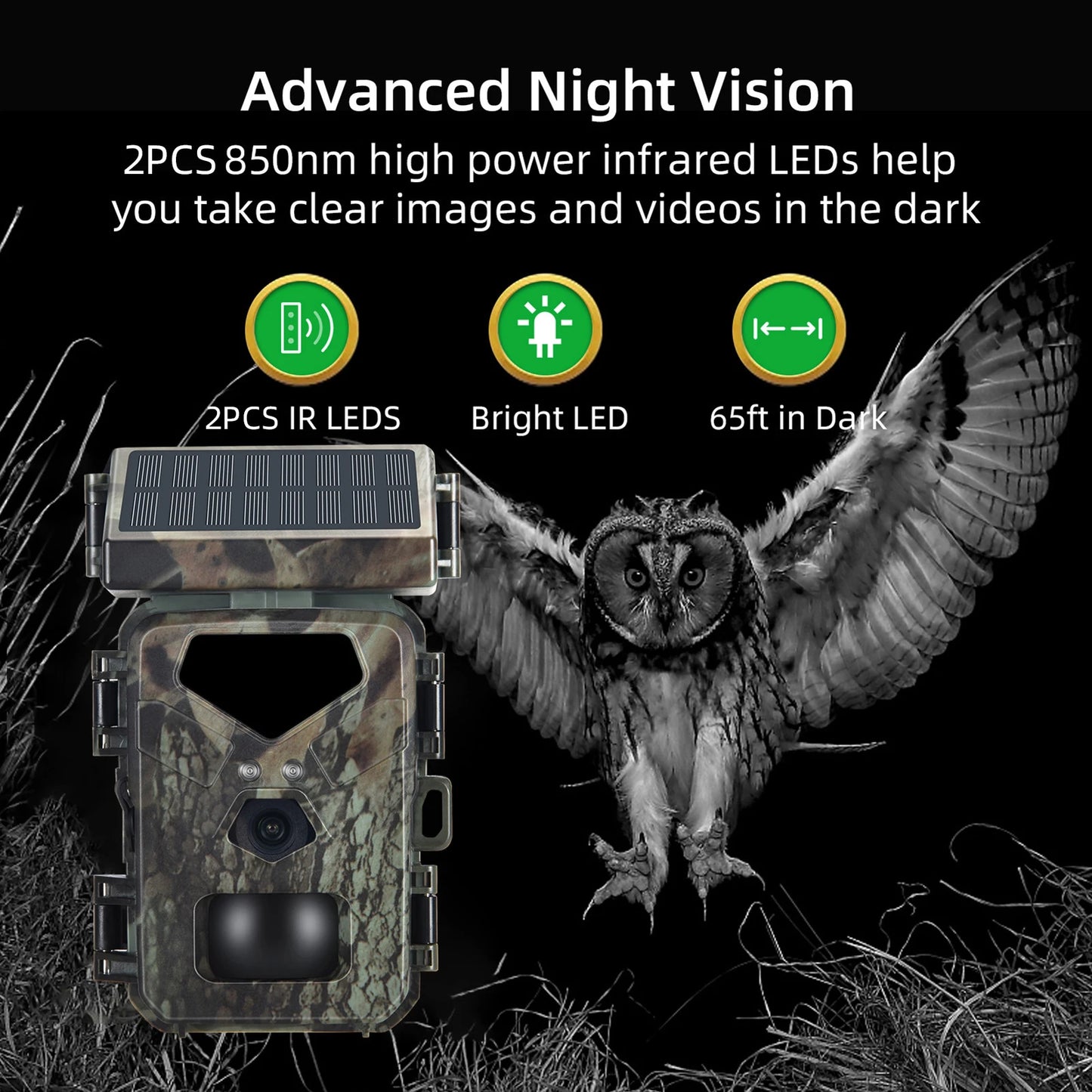 Night Vision Trail Camera