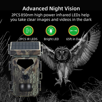 Night Vision Trail Camera