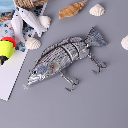 Robotic Fishing Lure