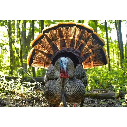 Practice Hunting Decoy Turkey